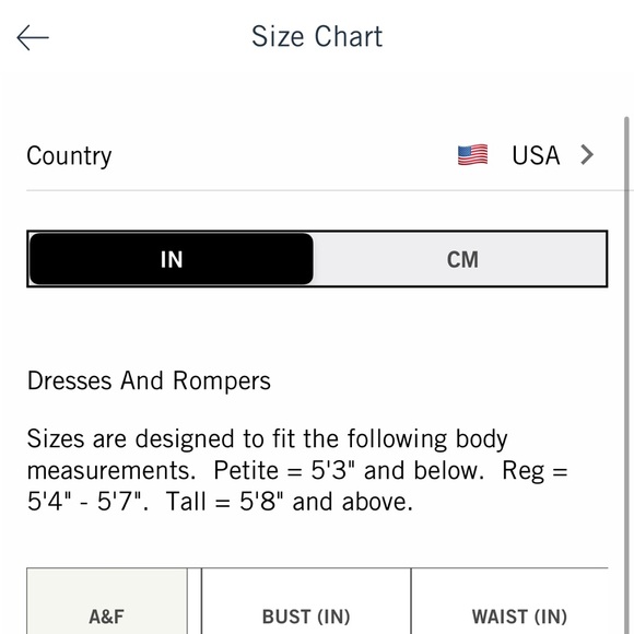 Abercrombie Lace Drama Puff Sleeve Cutout Maxi Dress L Petite - Picture 8 of 12